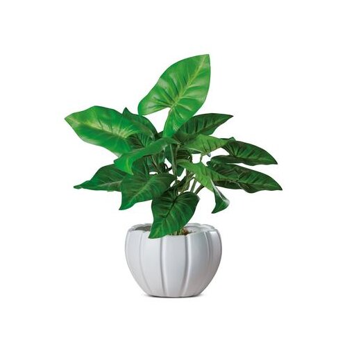  VAZA POLKA 14CM 60397 Slike