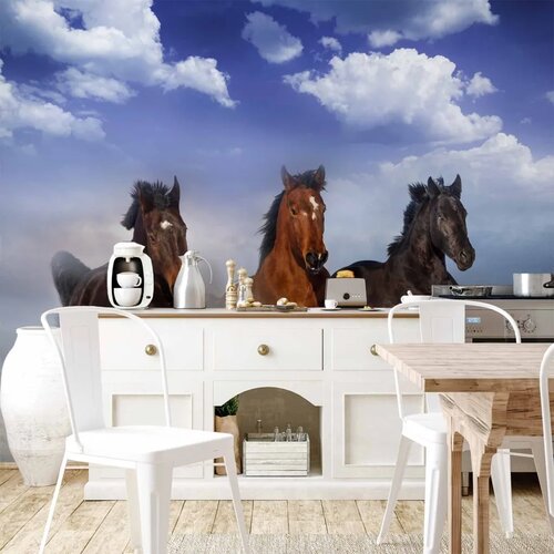 Foto tapeta - Horses in the Snow 500x350 Vodootporna Cene
