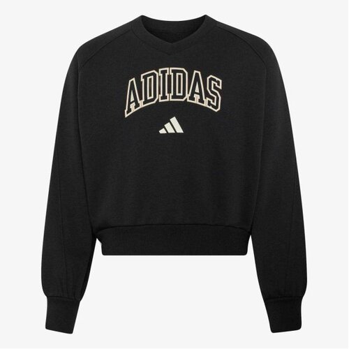 Adidas Jg clgt v-neck Cene