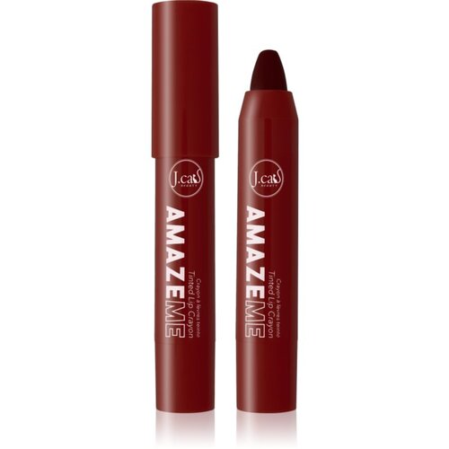 J.Cat Beauty Amaze Me kremasti svinčnik za ustnice odtenek 104 Take a Chance 4 g Cene