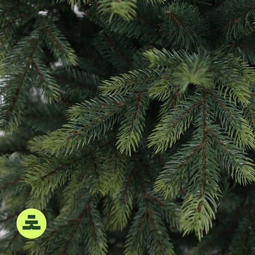 Můj Stromeček Umetna jelka vi&amp;scaron;ina 180 cm Himalaya Spruce &amp;ndash; Slike