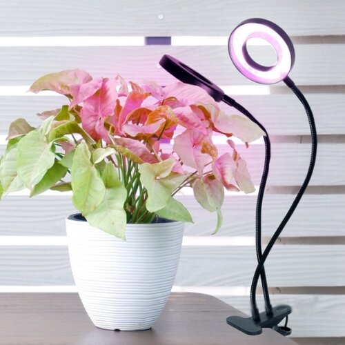 Fleksibilna LED prigu&amp;scaron;iva stolna lampa sa klipsom za uzgoj biljaka VITARO 2xLED/4W/230V crna Slike