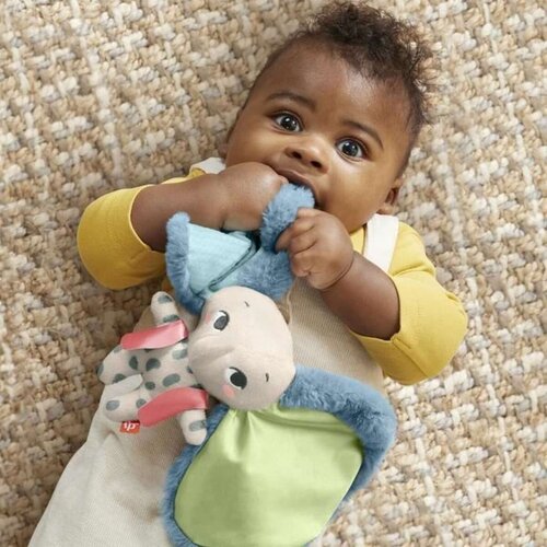 Fisher Price Lutka Beba Fisher Price TEMBO MON DOUDOU ELEPHANT Slike
