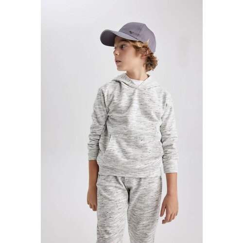 Defacto Boy's Hooded Sweatshirt Cene