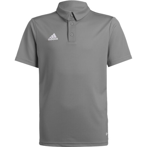 Adidas Tehnička sportska majica 'Entrada 22' siva / prljavo bijela Cijene