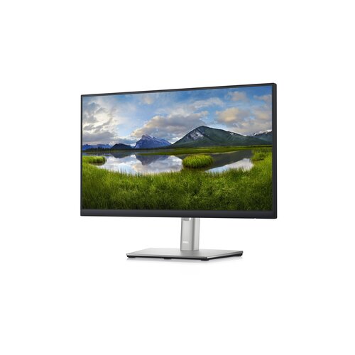 Dell Professional P2222H 21.5 FHD IPS Anti Slike