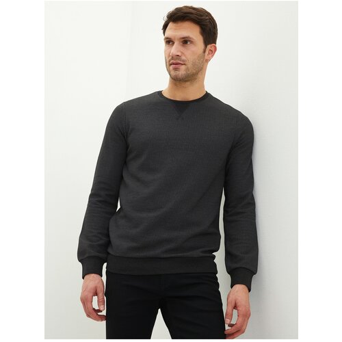 LC Waikiki Crew Neck Long Sleeve Men's Sweatshirt Slike