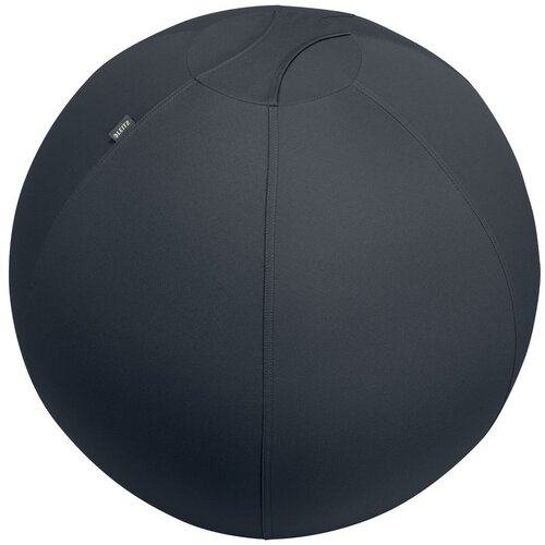 Leitz Ergonomska lopta za sjedenje s utezima ø 75 cm Ergo - Cijene