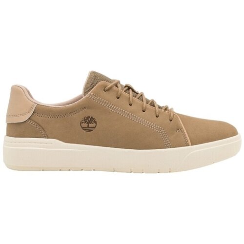Timberland Modne superge SENECA BAY LOW LACE UP Bež Cene
