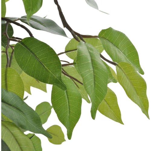 vidaXL Umetna Rastlina Fikus z Loncem 60 cm, (20623178) Cene
