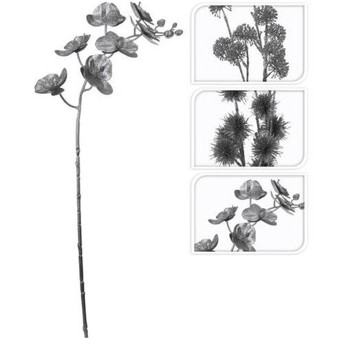  GRANA SA CVIJEĆEM SORTO Cene