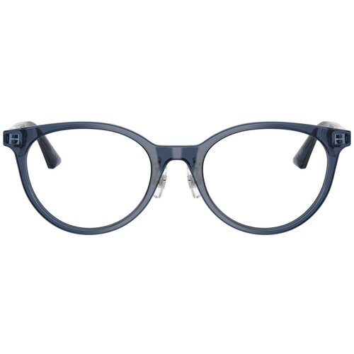 Jimmy_Choo Naočare JC 3039D 5035 Cene