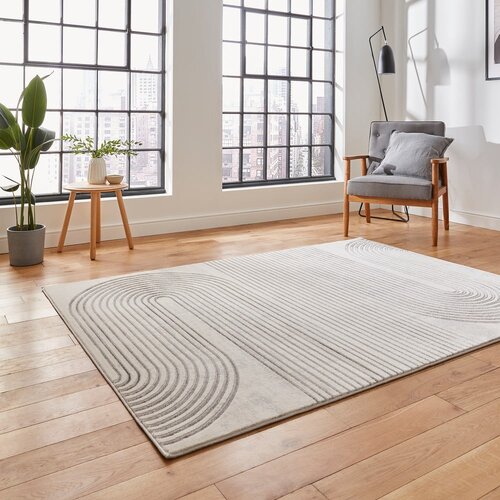 Think Rugs Svetlo siva/kremno bela preproga 80x150 cm Apollo &amp;ndash; Slike