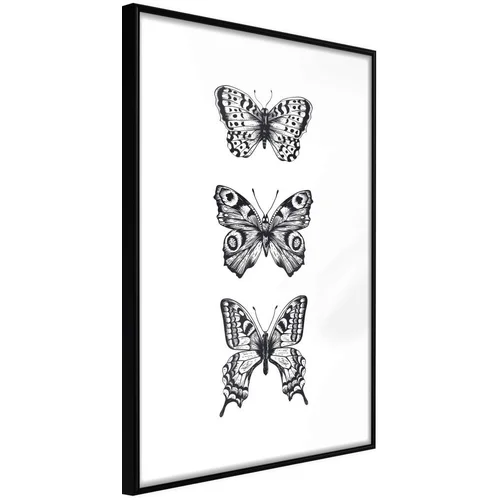  Poster - Butterfly Collection III 20x30