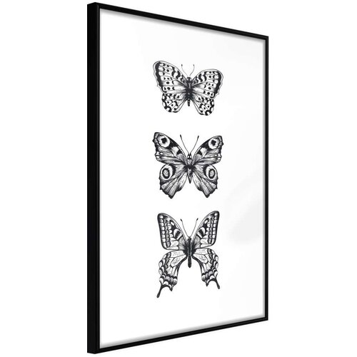  Poster - Butterfly Collection III 20x30 Cene