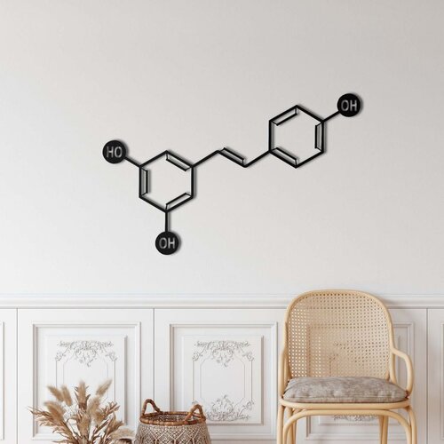 Wallxpert metalni zidni ukras 5439, strukturna formula molekula resveratrola, 60 x 38 cm, crni Cene