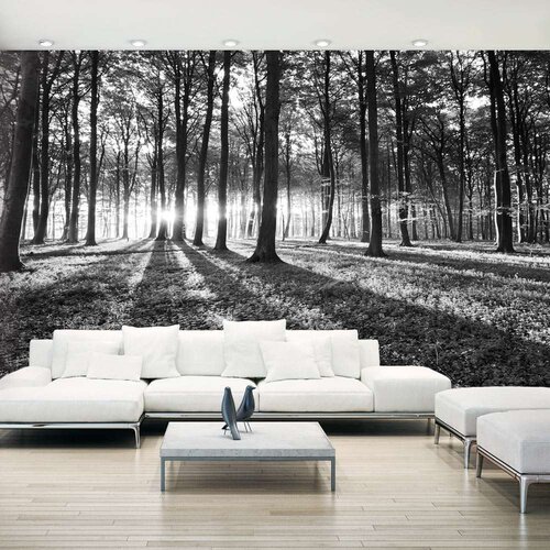  Samoljepljiva foto tapeta - Grey Wilderness II 490x280 Cene