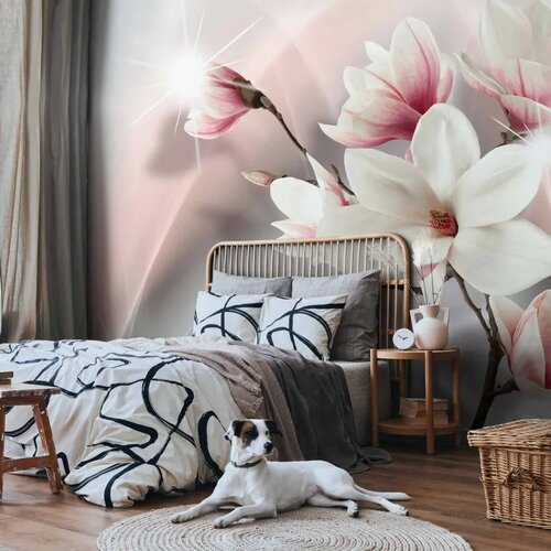  Foto tapeta - White magnolias 350x256 Slike