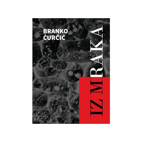 Književna radionica Ra&amp;scaron;ić Branko Ćurčić - Iz mraka Slike