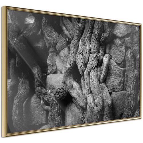  Poster - Strong Roots 45x30 Cijene