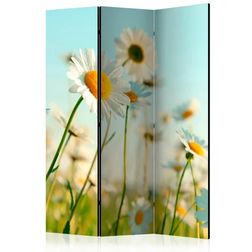  Paravan u 3 dijela - Daisies - spring meadow [Room Dividers] 135x172