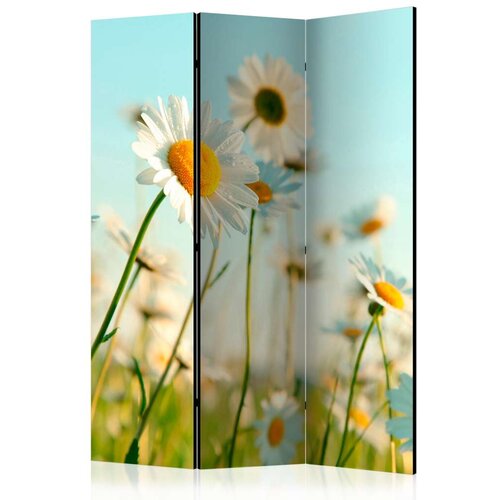  Paravan u 3 dijela - Daisies - spring meadow [Room Dividers] 135x172 Slike