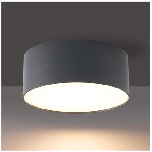 Brilagi LED spolja&scaron;nje plafonsko svetlo FORIS LED/20W/230V pr. 15 cm antr IP44 Cene