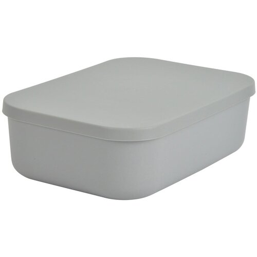 Hom&amp;eacute;a Siva plastična &amp;scaron;katla za shranjevanje s pokrovom 24x18x8 cm &amp;ndash; Slike