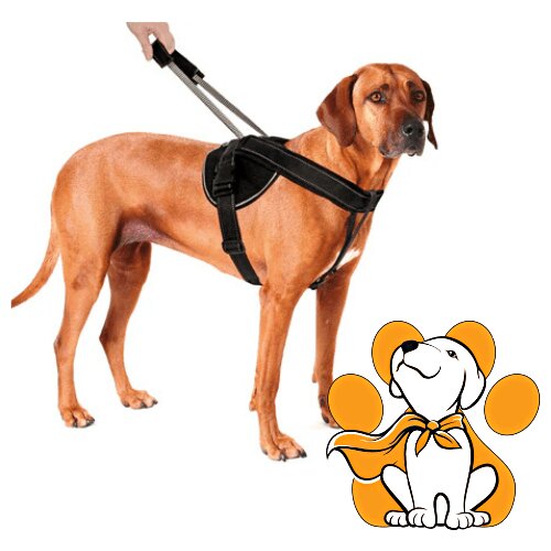 Patento Pet harness Premium M, Am Za Pse Sa Integrisanim Povocem Slike