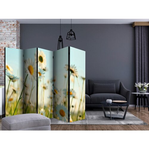 Artgeist Paravan Daisies I, 5-Delni, Dvostranski Slike