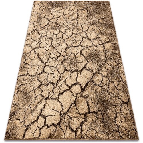 RugsX Preproge Preproga KARMEL Terra razpokana tla oreh 240x340 cm Kostanjeva Slike