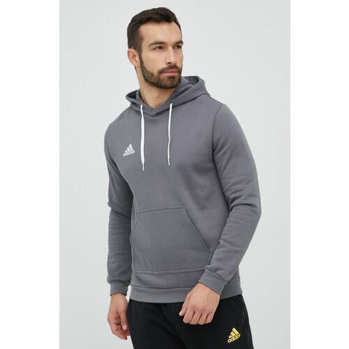Adidas Bluza moška, siva barva, s kapuco Cene