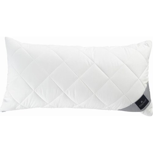 Billerbeck VZGLAVNIK Classic Clean 40/80 cm Cene