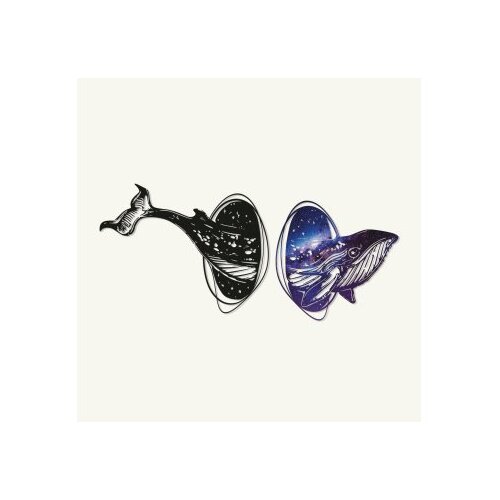 WALLXPERT dekorativni metalni zidni pribor whale of black hole APT745 m Slike