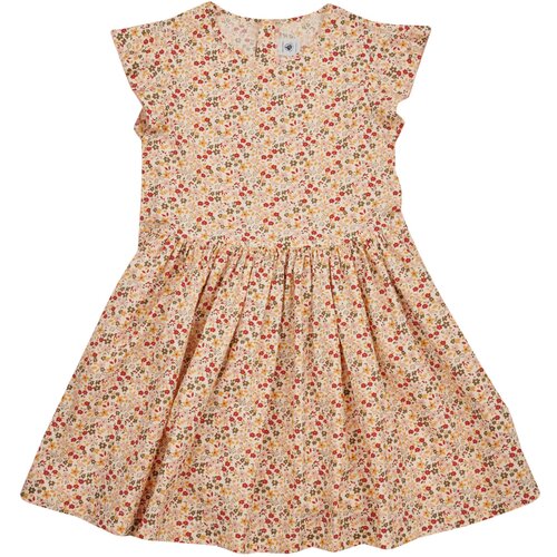 Petit Bateau Kratke obleke FELURS Večbarvna Slike