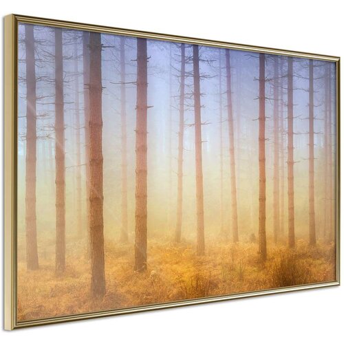  Poster - Fog or Smoke? 30x20 Cene