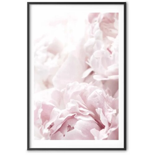  Plakat Fluffy Peonies 40x60 Crni okvir s margom Slike