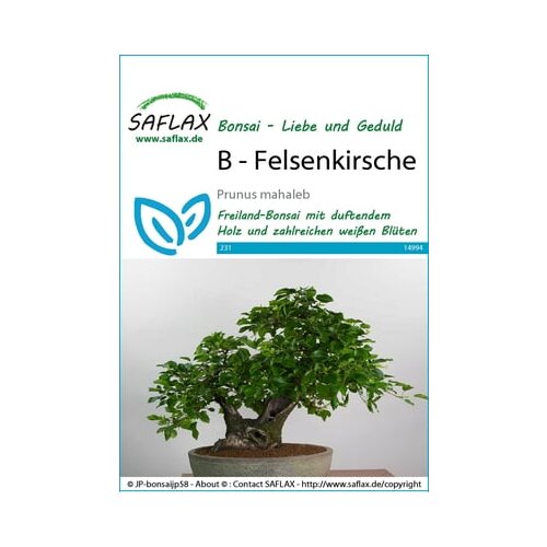Saflax Bonsai - rešeljika Cene