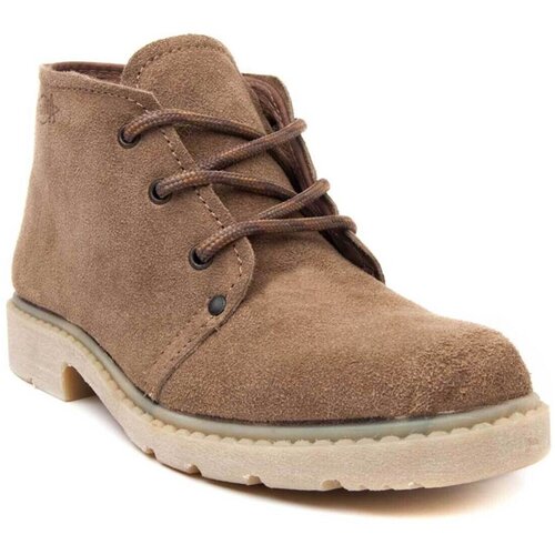 Northome &amp;Scaron;kornji 55378 Kostanjeva Slike