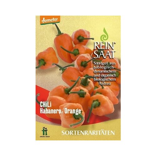 ReinSaat Čili "Habanero oranžen" Cene