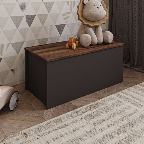Hanah home Kutija za odlaganje Florya, 90x45.5x45 cm, Crna Cene