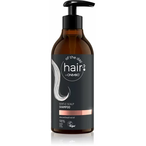 OnlyBio Hair Of The Day nežni šampon za vsakodnevno uporabo z aloe vero 400 ml
