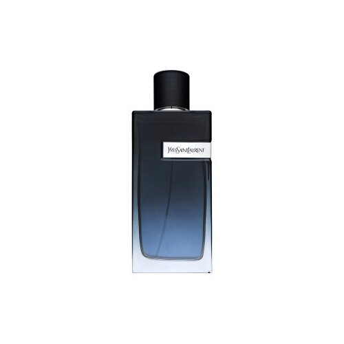 Parfem Y 200 ml parfumska voda za moške Cene