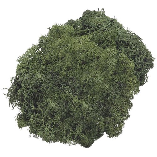  Mahovina islandska umjetna 50g Knorr Prandell 21-6694462 zelena Cene