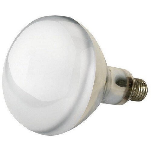Kerbl Sijalica infrabela 150W Cene