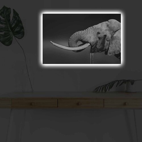 Wallity Slika sa LED osvetljenjem 4570DHDACT-165, 45x70 cm Cene