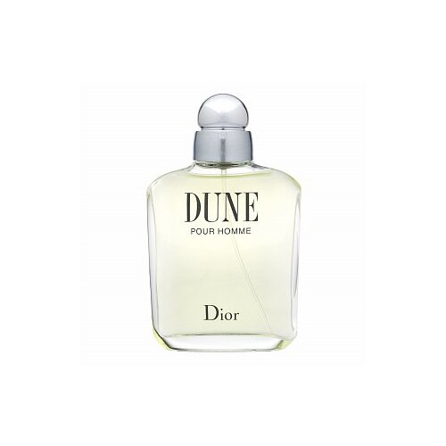 Christian Dior Dune Pour Homme toaletna voda 100 ml za moške Cene