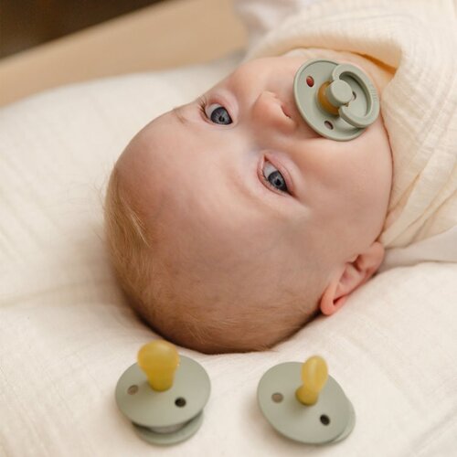 Bibs Try-It Size 1: 0+ months set za djecu od rođenja Sage 3 kom Slike