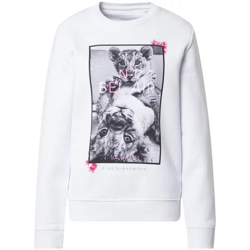 EINSTEIN & NEWTON Sweater majica siva / roza / svijetloroza / crna / bijela