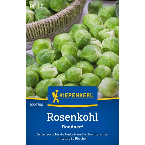 KIEPENKERL Brstični ohrovt Roodnerf - 1 pkt. Cene